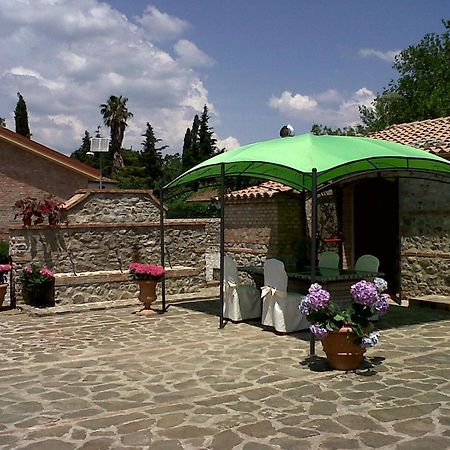 Societa Agricola Mg Florplant Villa Francavilla Marittima Buitenkant foto