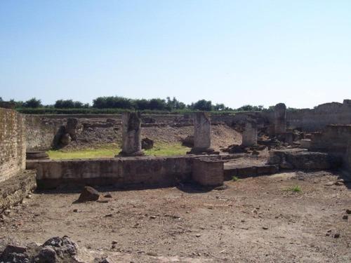 Societa Agricola Mg Florplant Villa Francavilla Marittima Buitenkant foto