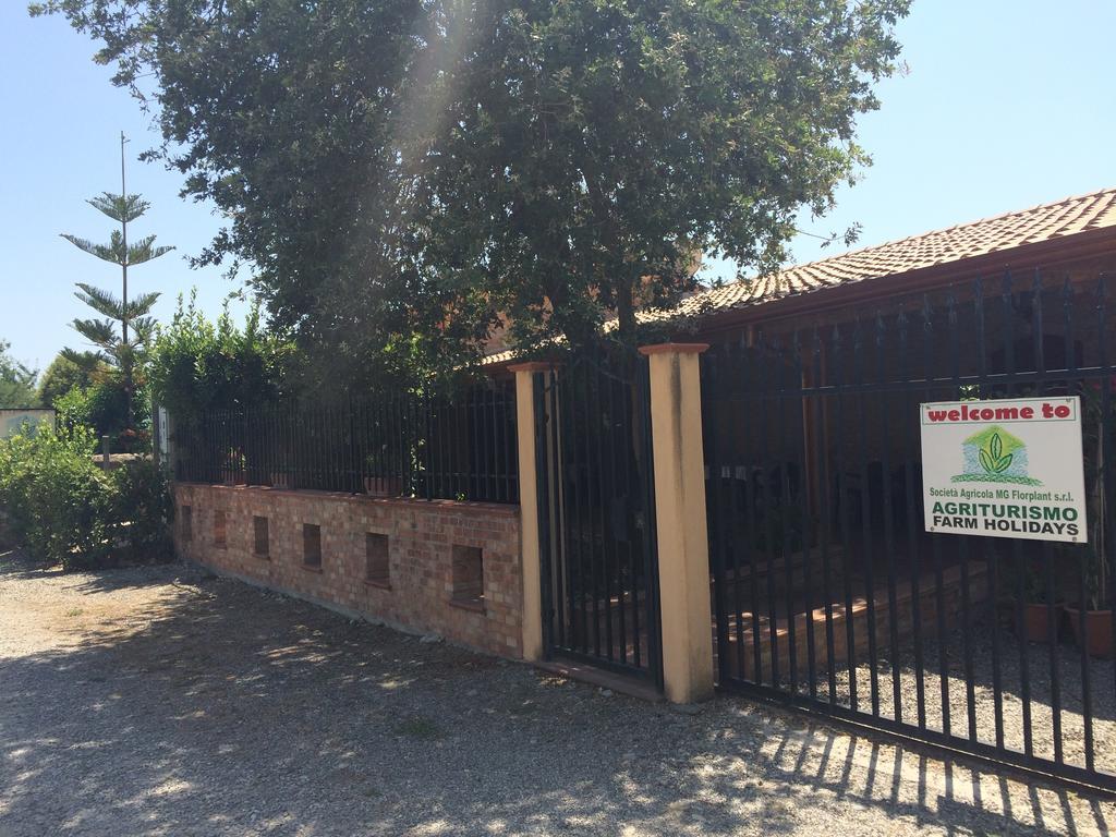 Societa Agricola Mg Florplant Villa Francavilla Marittima Buitenkant foto